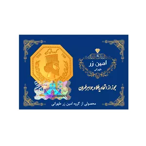 سکه گرمی طلا 18 عیار امین زر مدل amza-4 