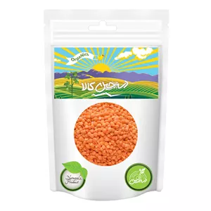 دال عدس دستچین کالا - 1200 گرم