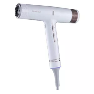 سشوار حرفه‌ای 2000 وات پرنسلی مدل PR282AT