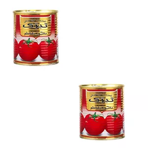 رب گوجه فرنگی تبرک - 800 گرم بسته 2 عددی
