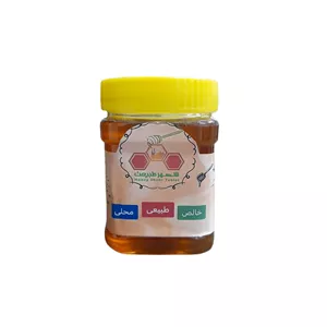   عسل طبیعی سبلان شهر طبیعت - 500 گرم