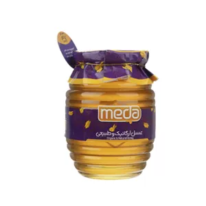 عسل طبیعی بدون موم گون گز مدا - 250 گرم
