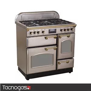 اجاق گاز مبله تاکنوگاز سری فالکون مدل FALCON-L5B-SS GOLD
