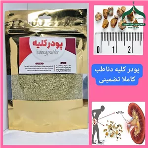 پودر سنگ کلیه