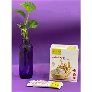 جوانه گندم