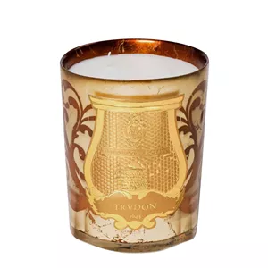 شمع معطر بایون کریسمس ادیشن ترودون1643 270 گرم اورجینال