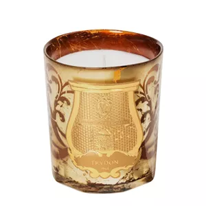 شمع معطر بایون کریسمس ادیشن ترودون1643 800 گرم اورجینال