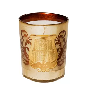 شمع معطر بایون کریسمس ادیشن ترودون1643 2800 گرم اورجینال