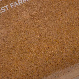 پودر گوجه فرنگی پیزارلا پا کارتن 25 عددی