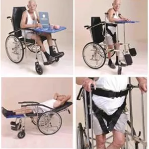 ویلچر چند کاره مد اسکای