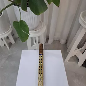 دسته نی انبان حرفه ای