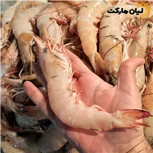 میگو دریایی بوشهر سایز 15-11 (شاه‌میگو درشت) | وزن متغیر ۱۰ تا ۳۰ کیلویی
