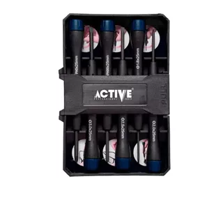 ست پیچ گوشتی ساعتی اکتیو 6 عددی مدل AC-6306PS
