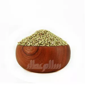تخم گشنیز