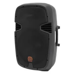 اسپیکر باند پسیو 15 اینچ تندر الکترونیک پی اس پرو PS-15 PRO