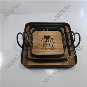 دیس وگاتی WS-247