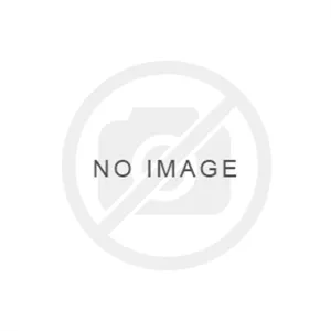 اکسل عقب دوگانه سوز پراید CNG (سی پارت-سایپایدک) 560674