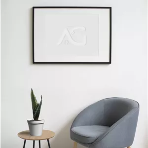 سانسوریا سیلور فلیم