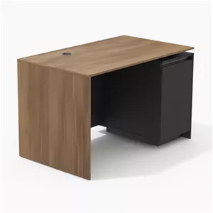 میز کارمندی راین نیلپر مدل ODT 265B