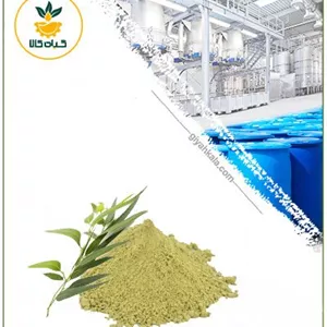 عصاره اکالیپتوس خشک یا پودری