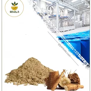 عصاره ریشه کاسنی خشک یا پودری