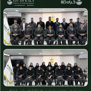 مویز سیاه (بدون دانه) خشک فله