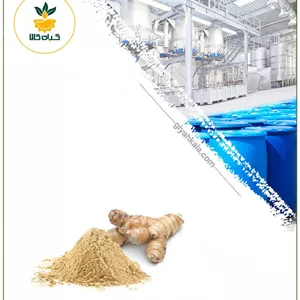 عصاره خولنجان خشک یا پودری
