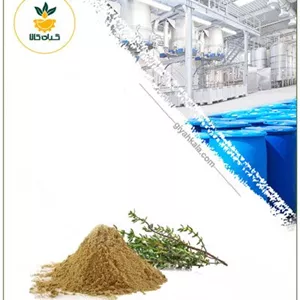 عصاره آویشن کوهی خشک یا پودری