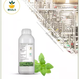 اسانس نعناع دشتی طبیعی