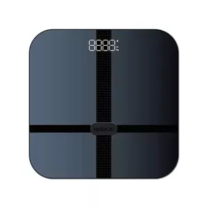 ترازو مدل HS 4000 برند هیسکا (HISKA)
