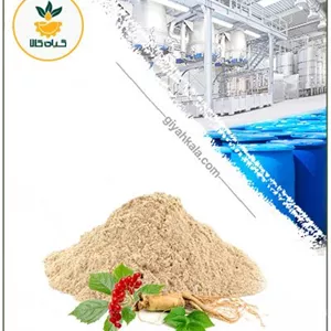 عصاره جینسینگ سفید خشک یا پودری