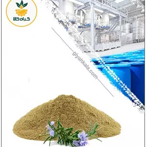 عصاره رزماری خشک یا پودری