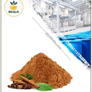 عصاره دارچین خشک یا پودری