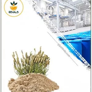 عصاره اسفرزه خشک یا پودری