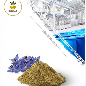 عصاره گل گاوزبان خشک (پودری)