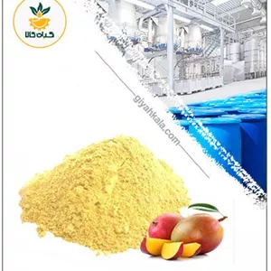 عصاره انبه خشک یا پودری