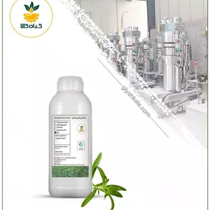 روغن ترخون