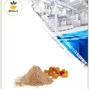 عصاره صمغ عربی خشک یا پودری