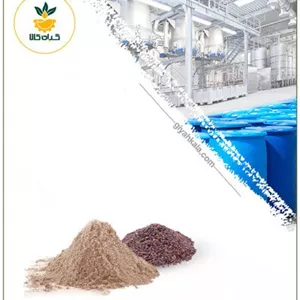 عصاره عدس الملک خشک یا پودری