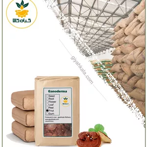 قارچ گانودرما خشک فله