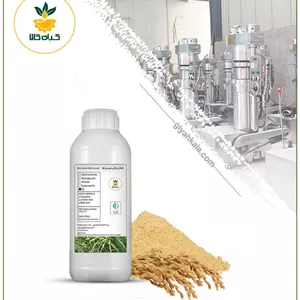 روغن سبوس برنج