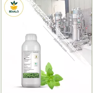 روغن پونه