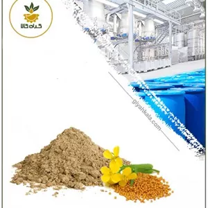 عصاره خردل خشک یا پودری