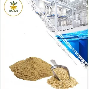 عصاره کینوا خشک یا پودری