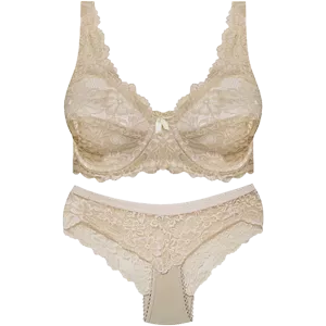 ست شورت و سوتین زنانه کرم 9015 سایز 85 پانیذ