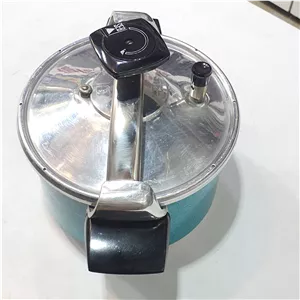 زودپز سب 6 لیتر درب فلکه ای