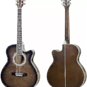 گیتار MegArya - ارسال 15 الی 20 روزه کاری