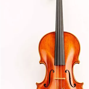 ویولن D Z Strad Model 220 Violin - ارسال 10 روز کاری