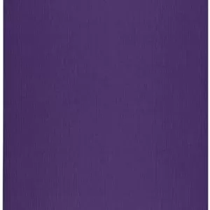 Manduka PRO Yoga Mat - ارسال 15 الی 20 روز کاری