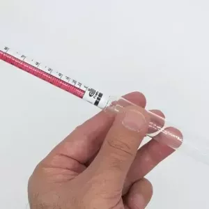 الکل سنج فرانسوی دو سر آبی ( ارسال از تهران )